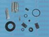AUTOFREN SEINSA D41165C Repair Kit, brake caliper
